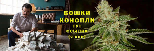 PSILOCYBIN Белоозёрский