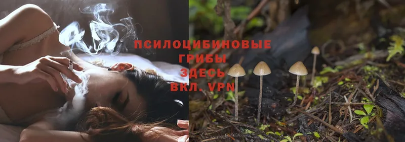 Галлюциногенные грибы MAGIC MUSHROOMS  Лесозаводск 